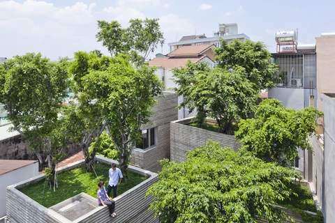 “House for trees” was named the Building of the Year by Ashui.com . (Photo: baomoi.com)